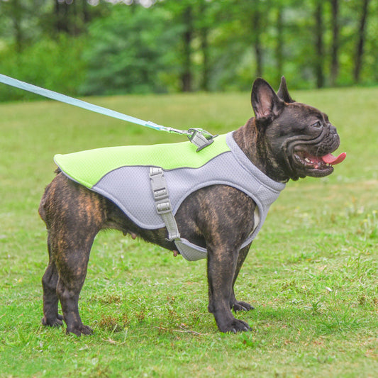 CoolDog Summer Cooling Vest